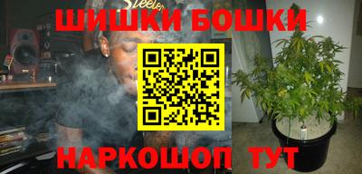 шишки Тулун