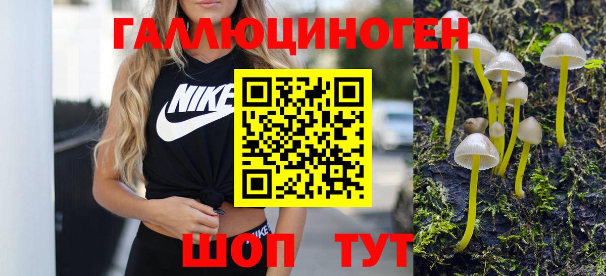 Галлюциногенные грибы GOLDEN TEACHER  Галлюциногенные грибы мицелий  Павлово  Вход с VPN 
